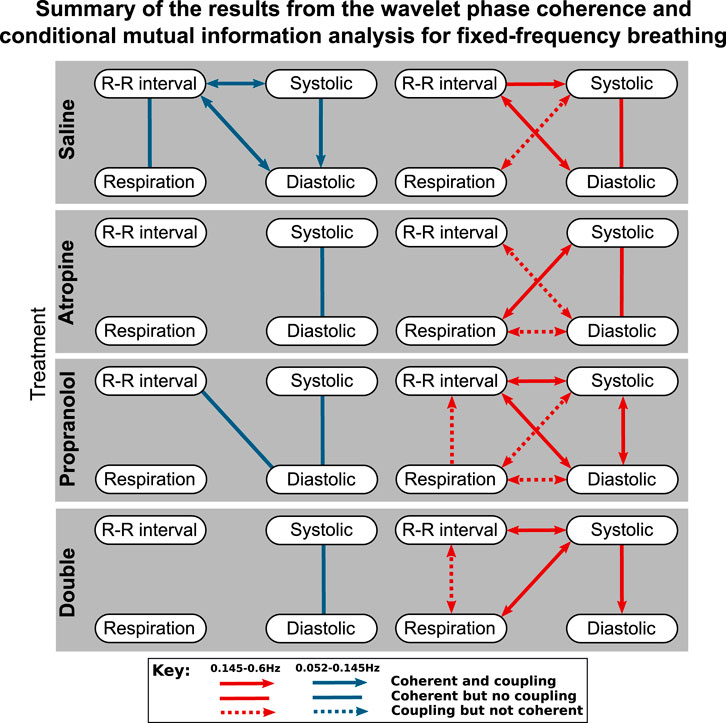 Beyond the Baroreflex: A New Measure of Autonomic Regulation Based on the Time-Frequency Assessment of Variability, Phase Coherence and Couplings